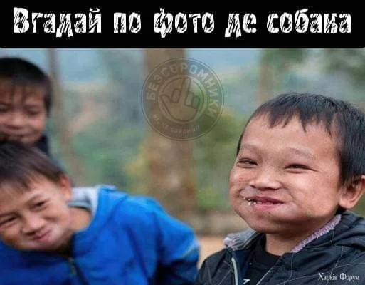 1000024758.webp