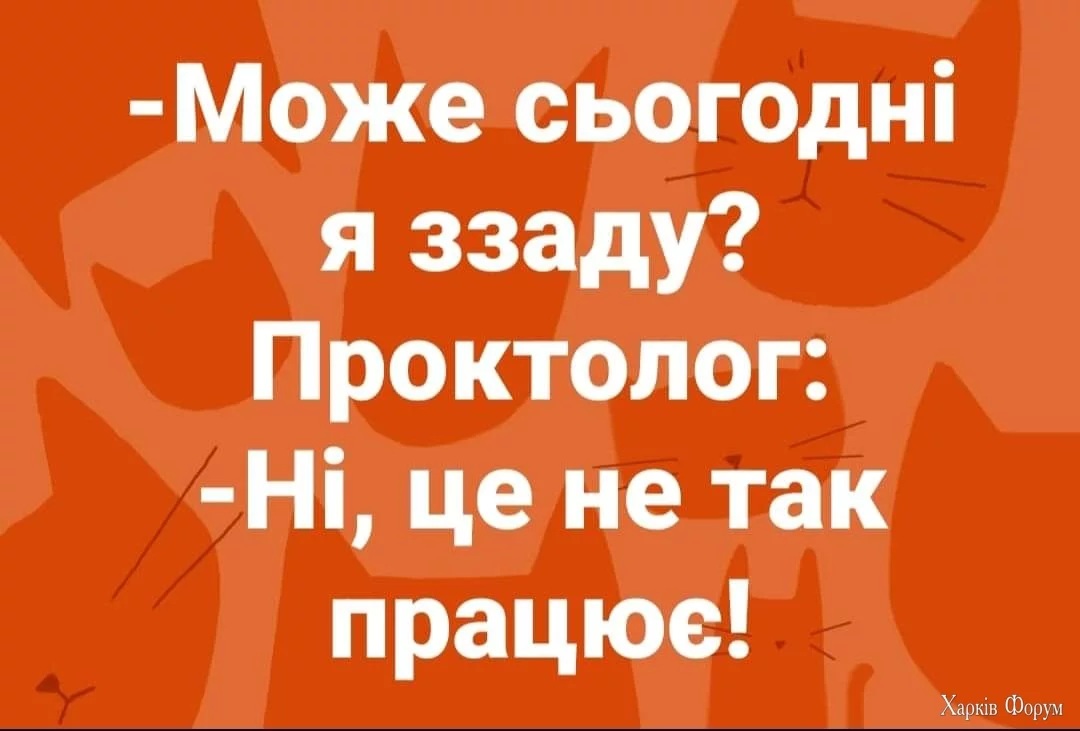 1000024904.webp