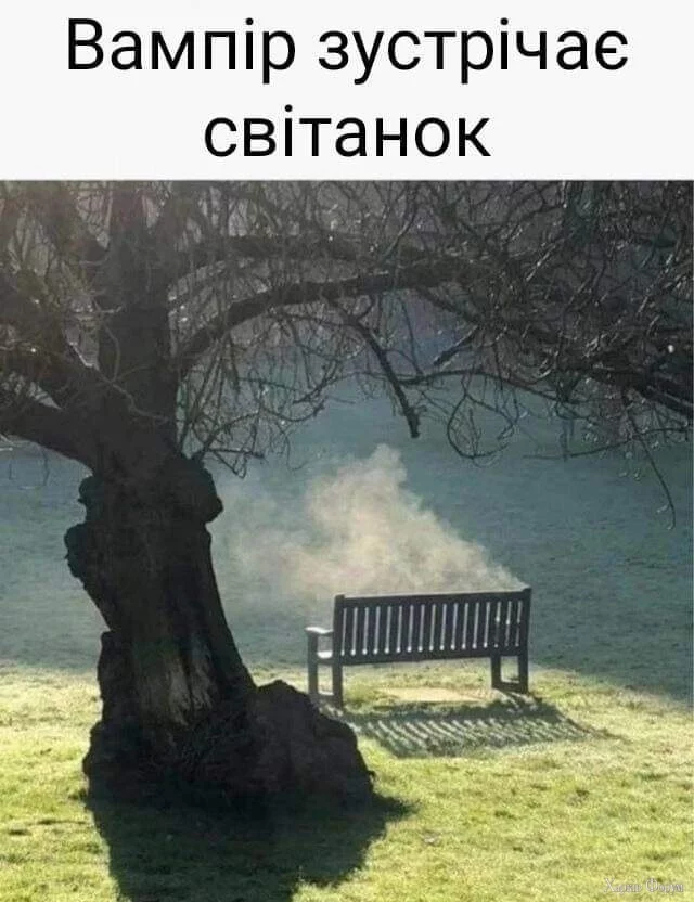 1000024910.webp