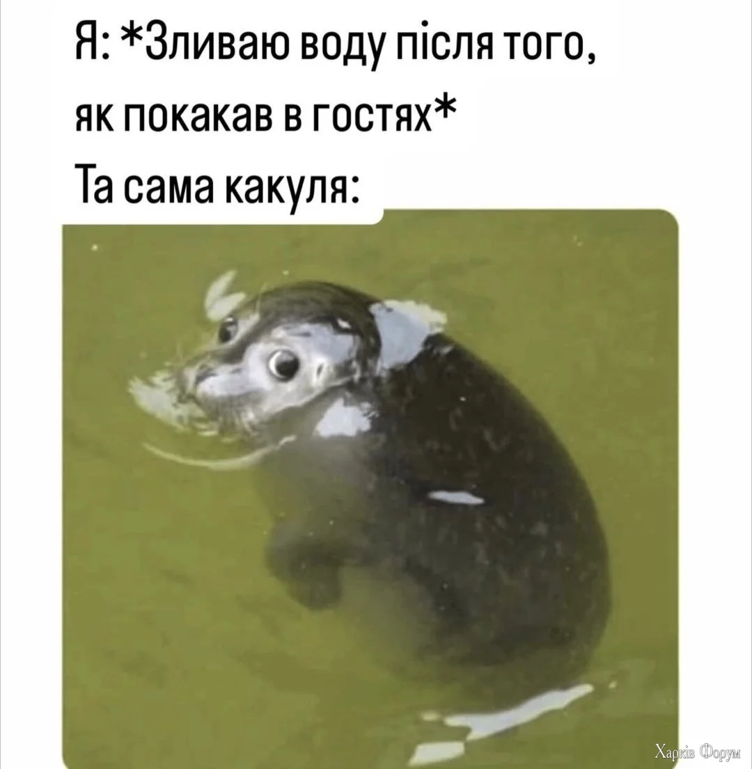 1000024913.webp