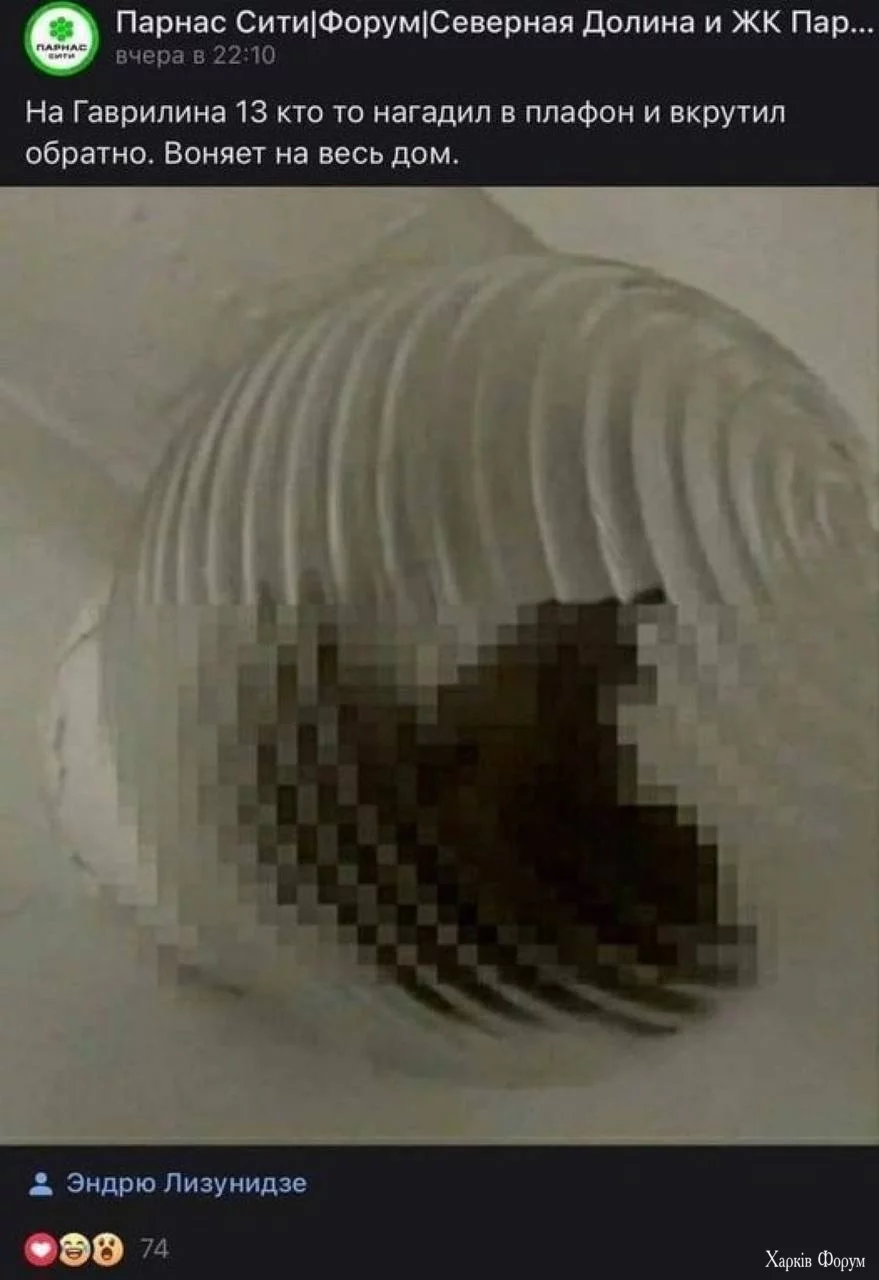 1000025130.webp