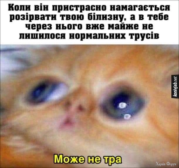 1000025137.jpg