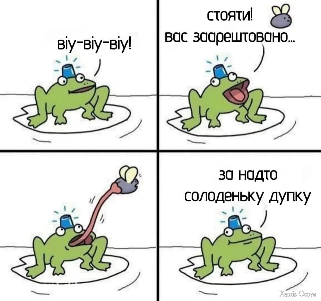 1000025149.webp