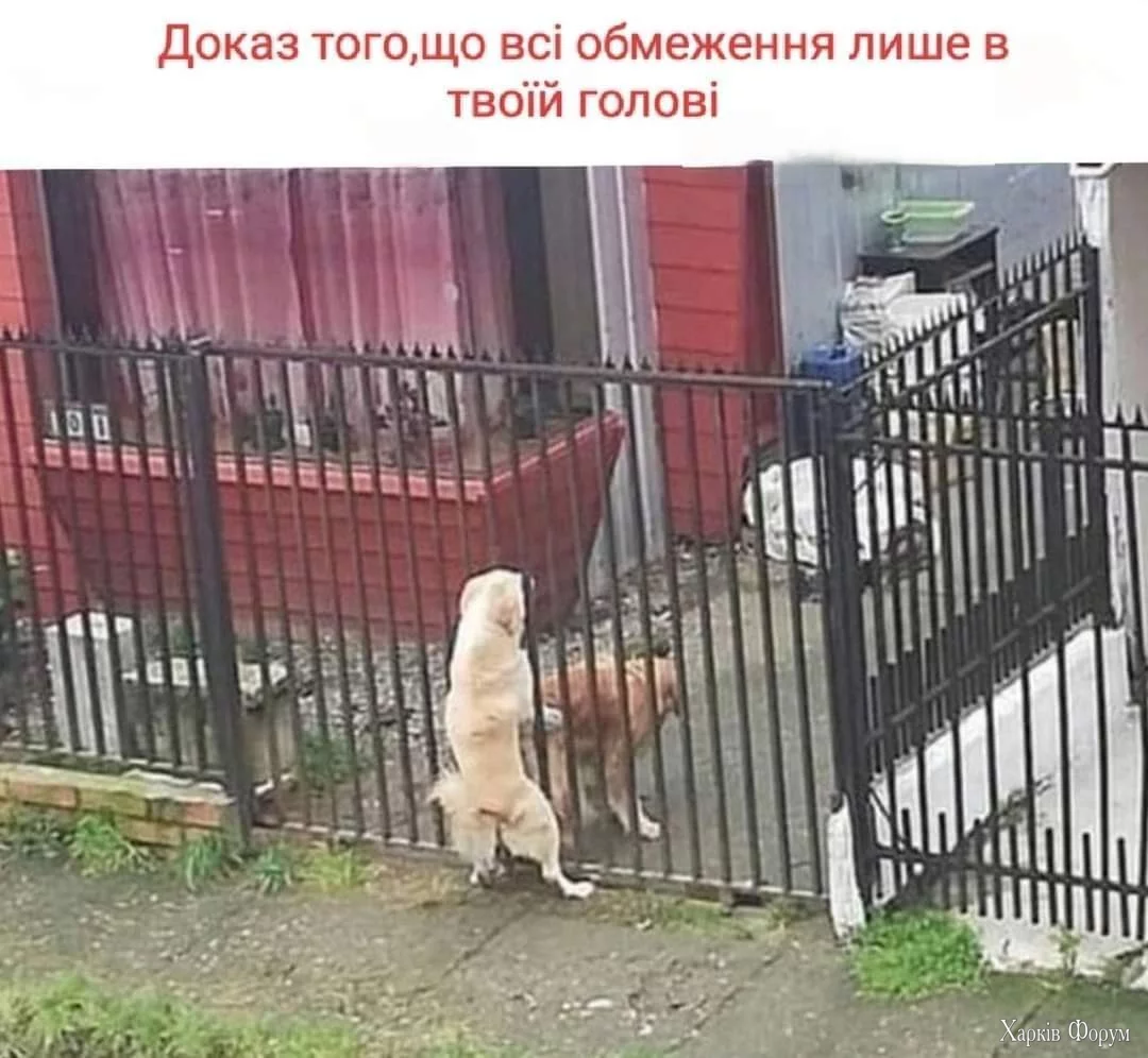 1000025165.webp