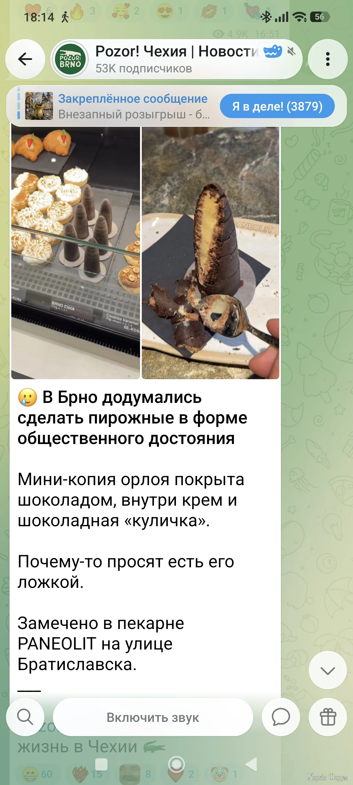1000025351.webp