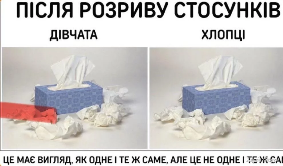 1000025375.webp