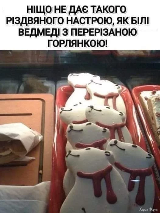 1000026431.webp