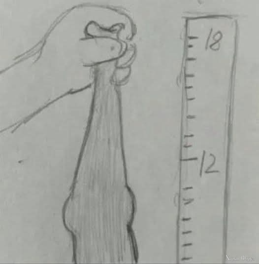 1000026434.jpg