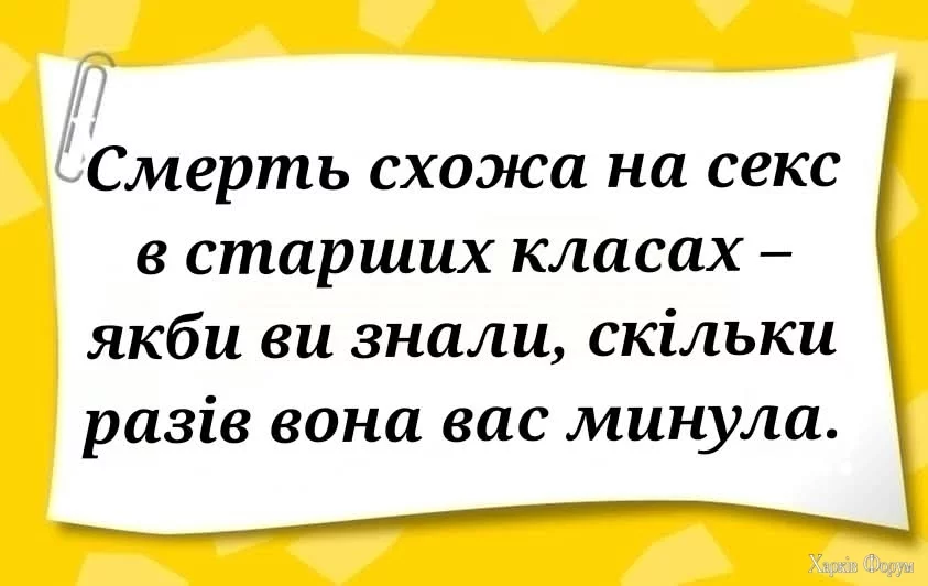 1000026435.webp