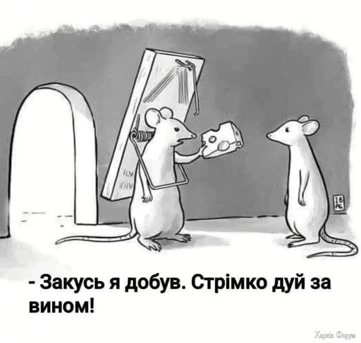 1000026975.webp