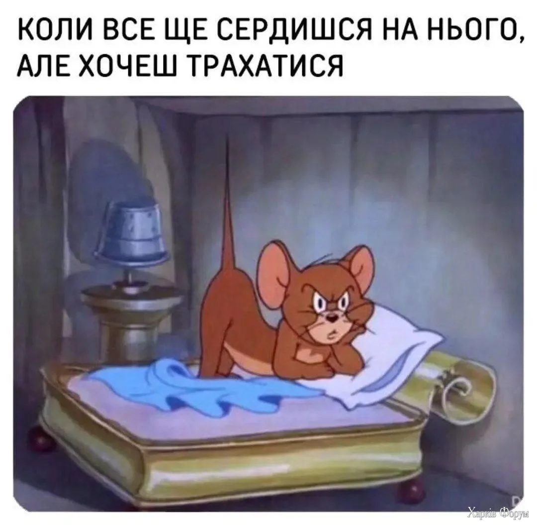 1000027002.webp