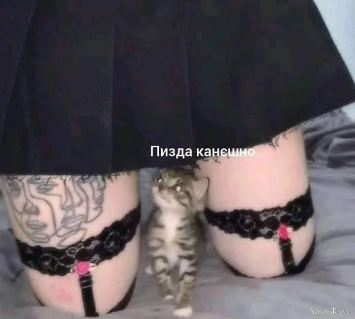 1000027022.webp
