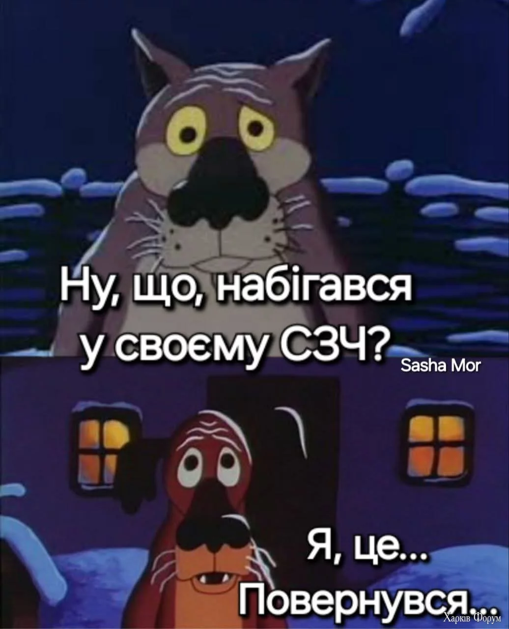 1000027164.webp