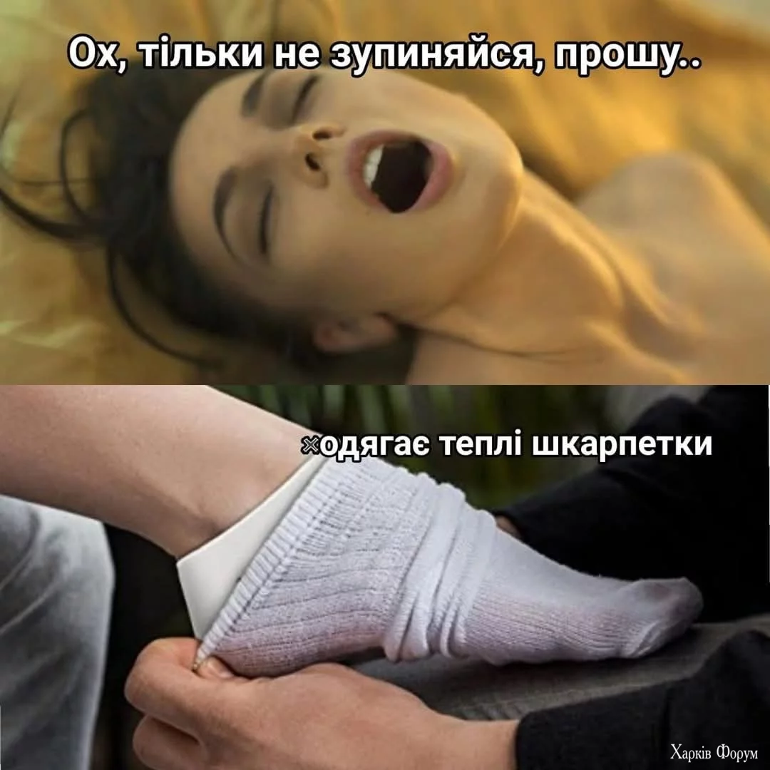 1000027505.webp