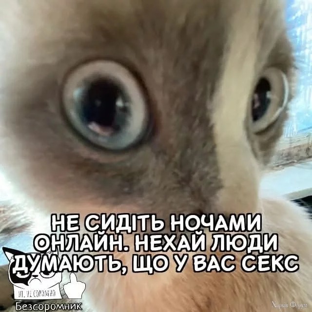 1000027973.webp