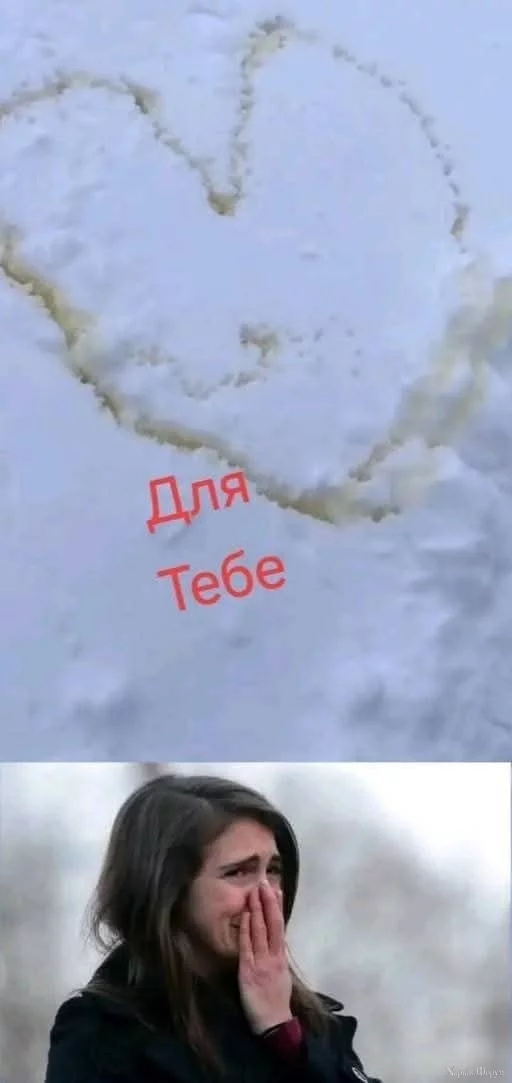 1000028136.webp