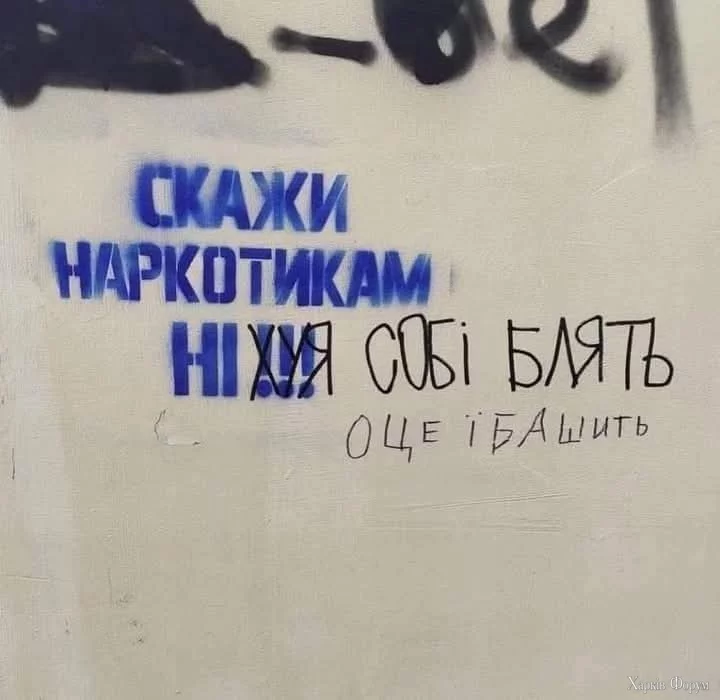 1000028236.webp