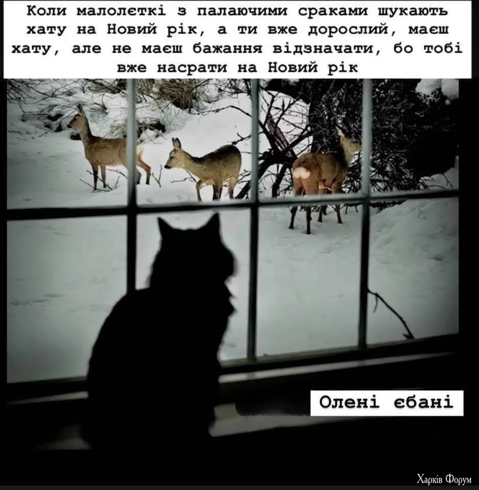 1000028686.webp