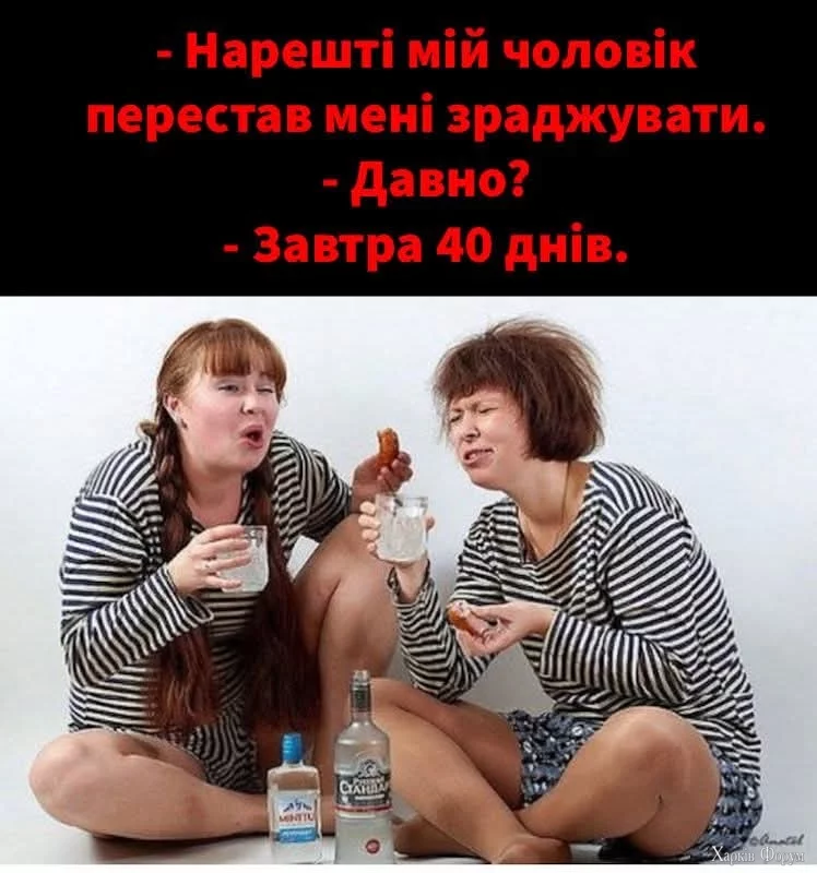 1000028805.webp