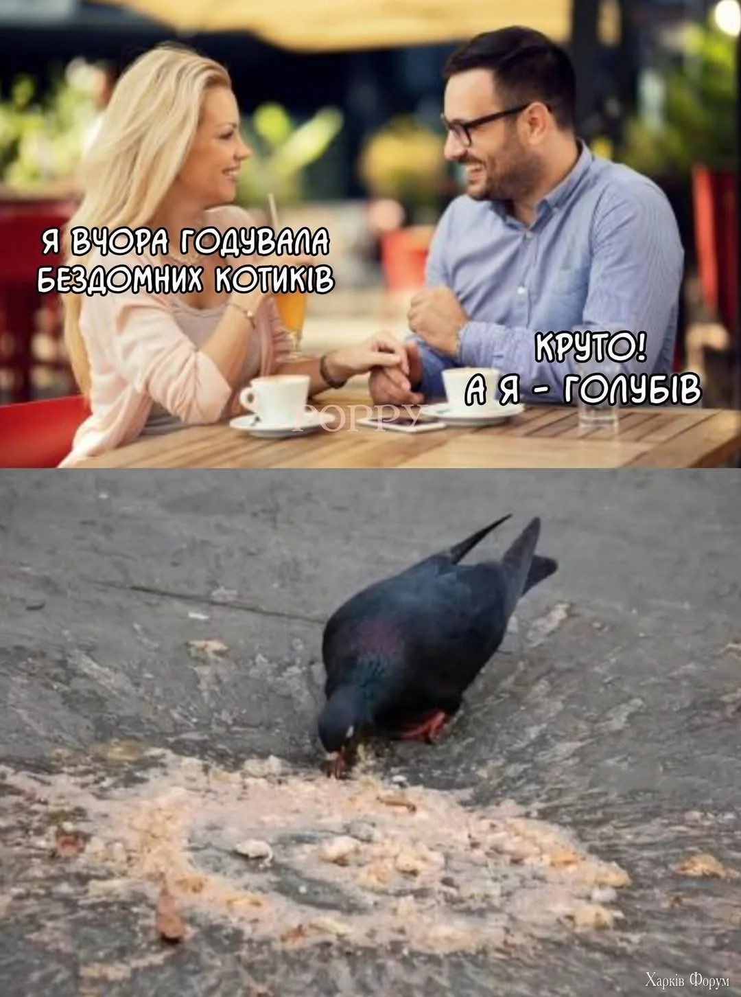 1000028918.webp