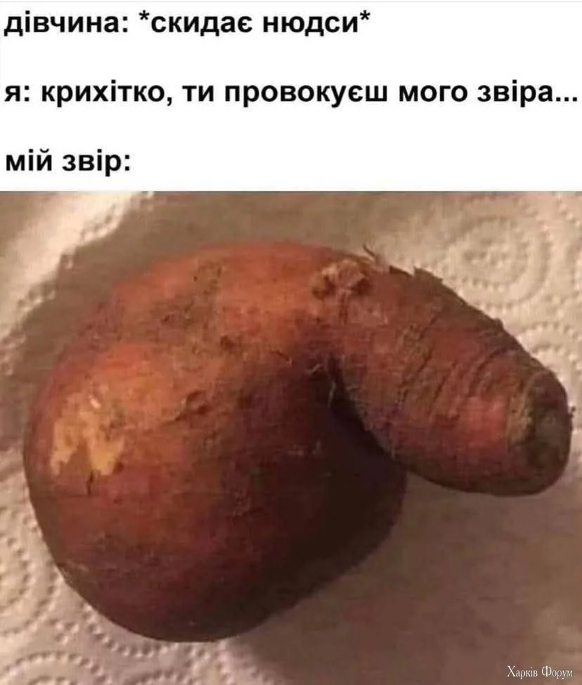 1000029145.webp
