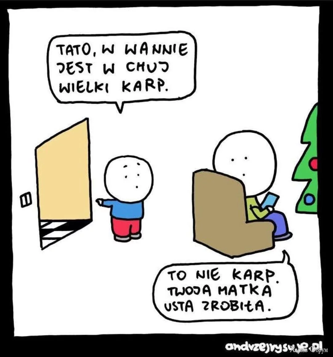 1000029227.webp