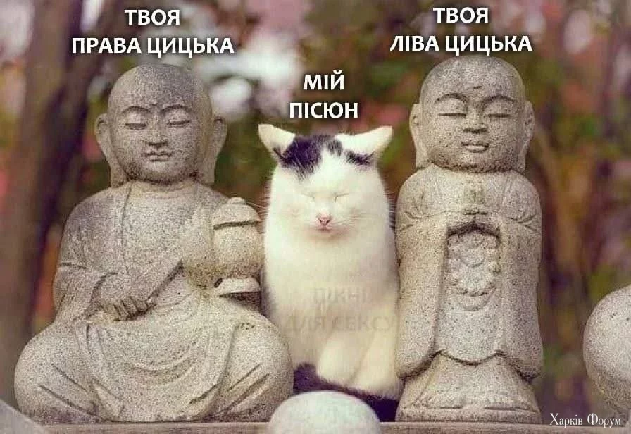 1000029734.webp