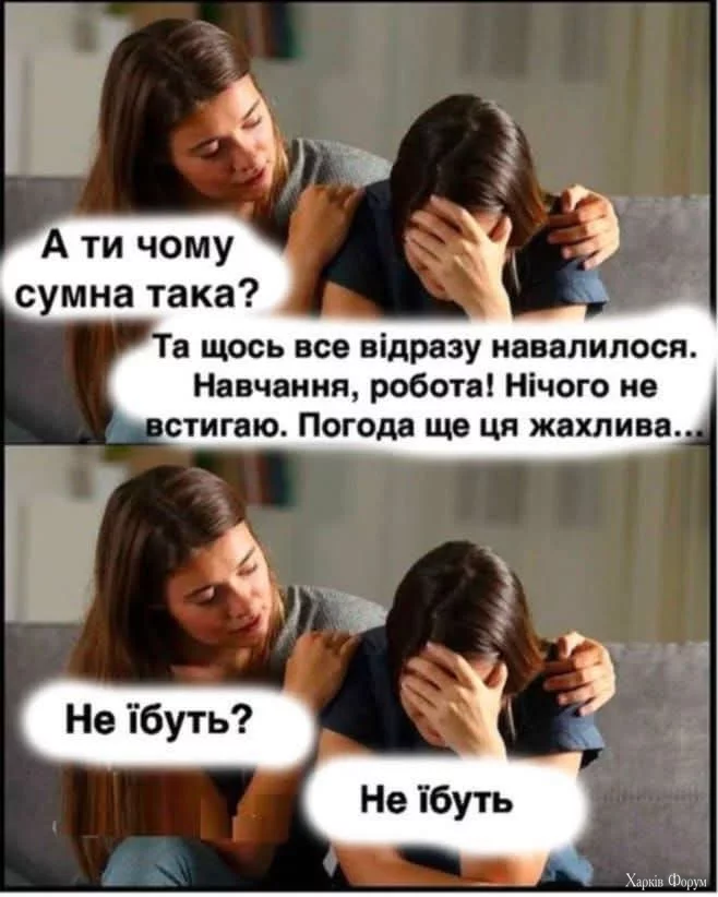 1000029816.webp