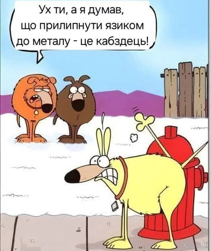 1000030068.webp