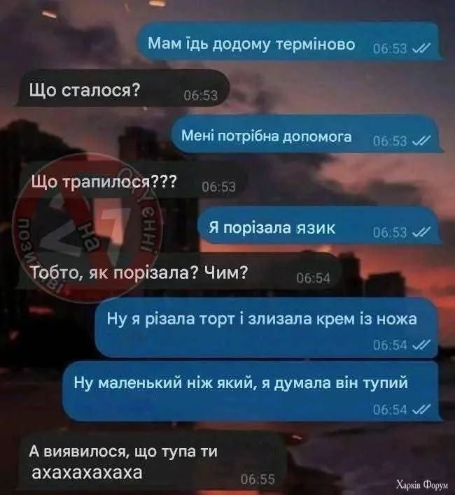 1000030164.webp