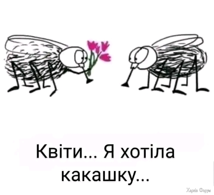 1000030181.jpg