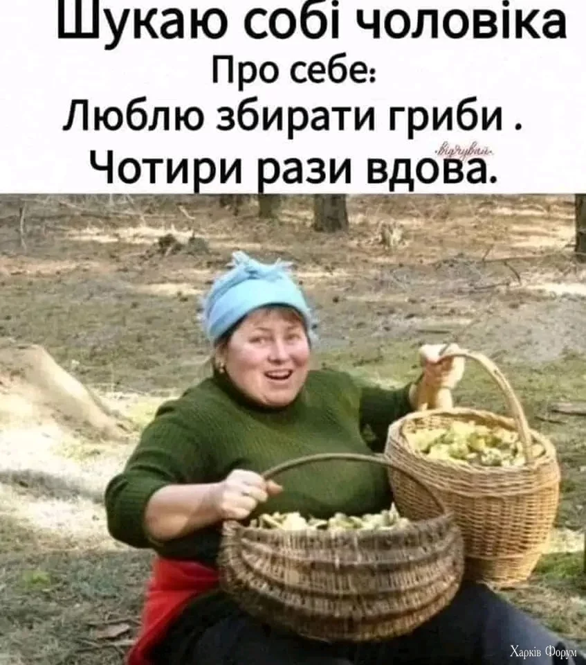 1000030238.webp