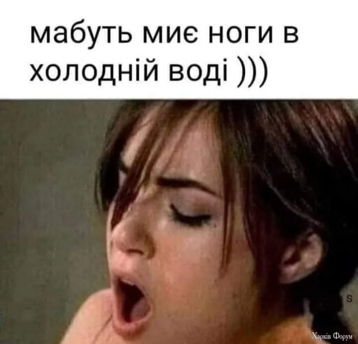 1000030366.webp