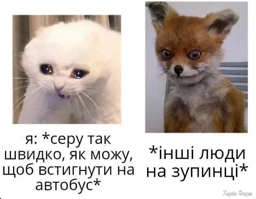 1000030371.webp