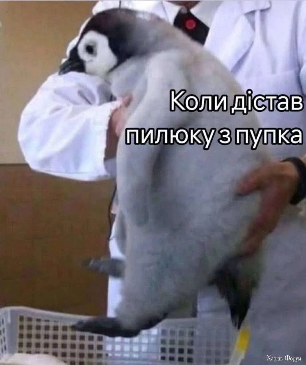 1000030382.webp