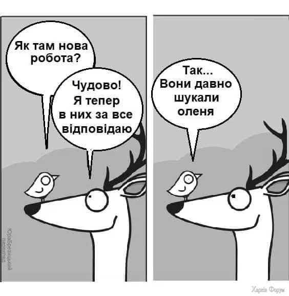 1000030596.webp