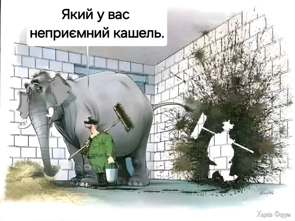 1000030812.webp