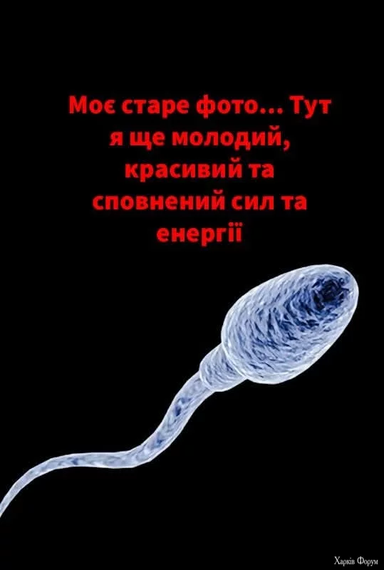 1000030840.webp