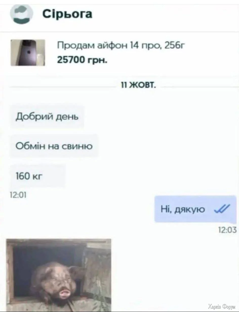 1000030845.webp