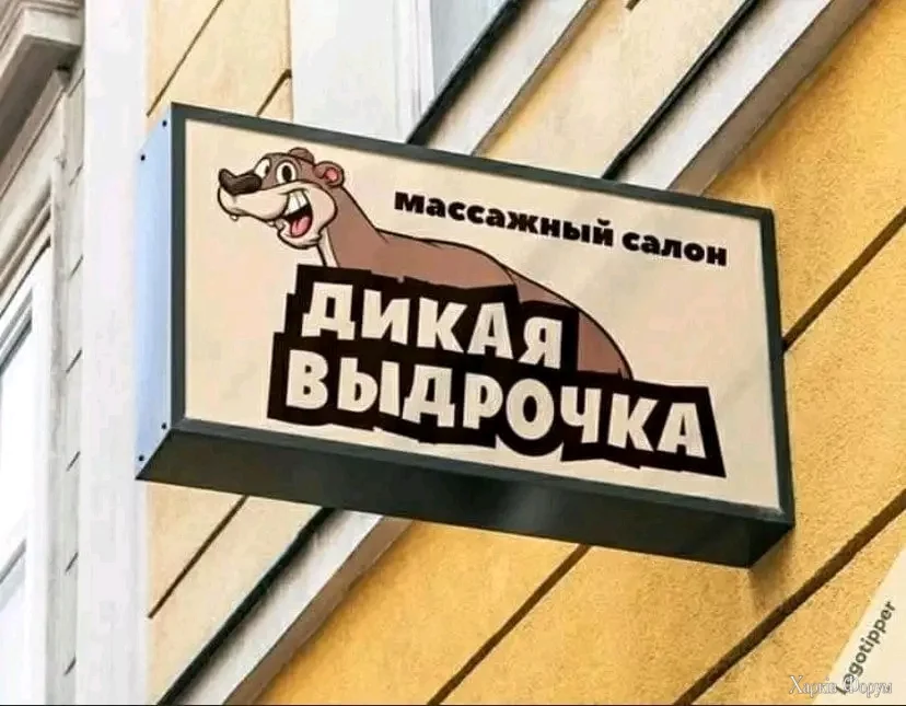 1000030922.webp