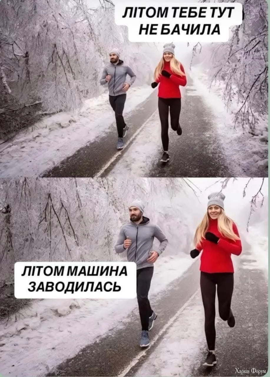 1000031017.webp