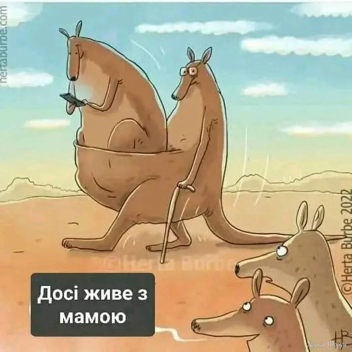1000031104.webp