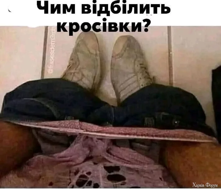 1000031122.webp