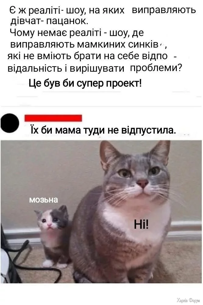 1000031145.webp