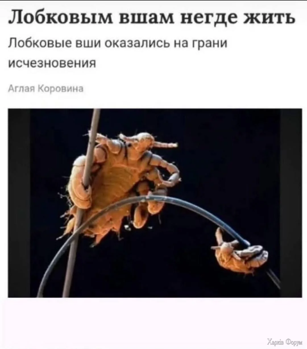1000031333.webp