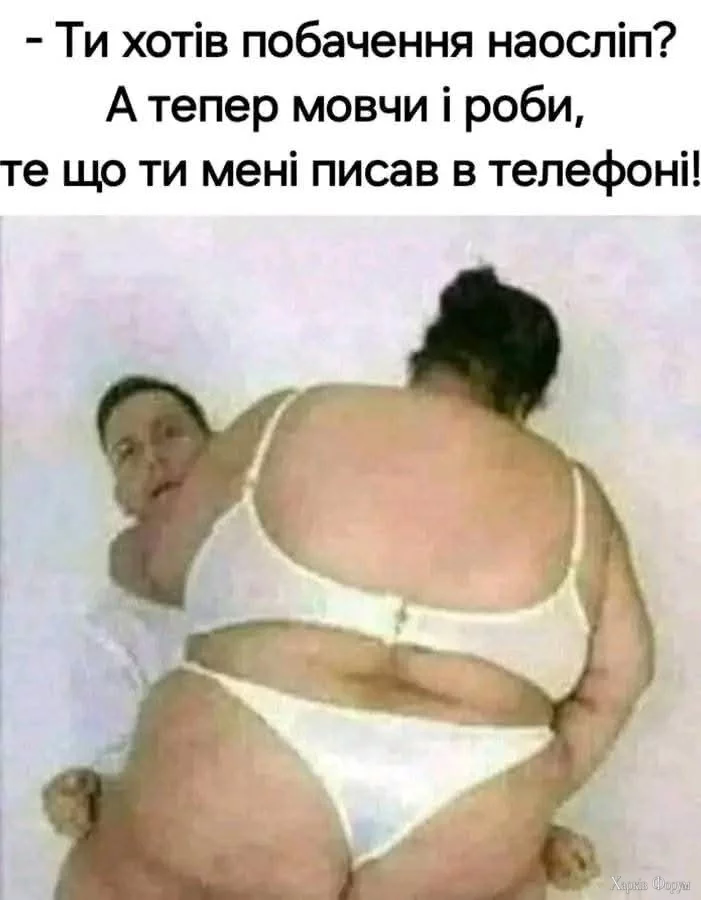 1000031522.webp