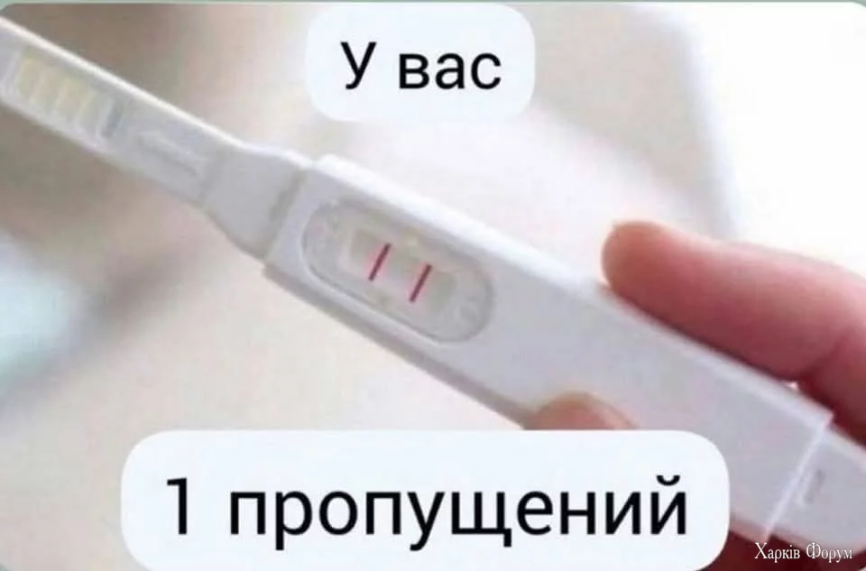 1000031527.webp