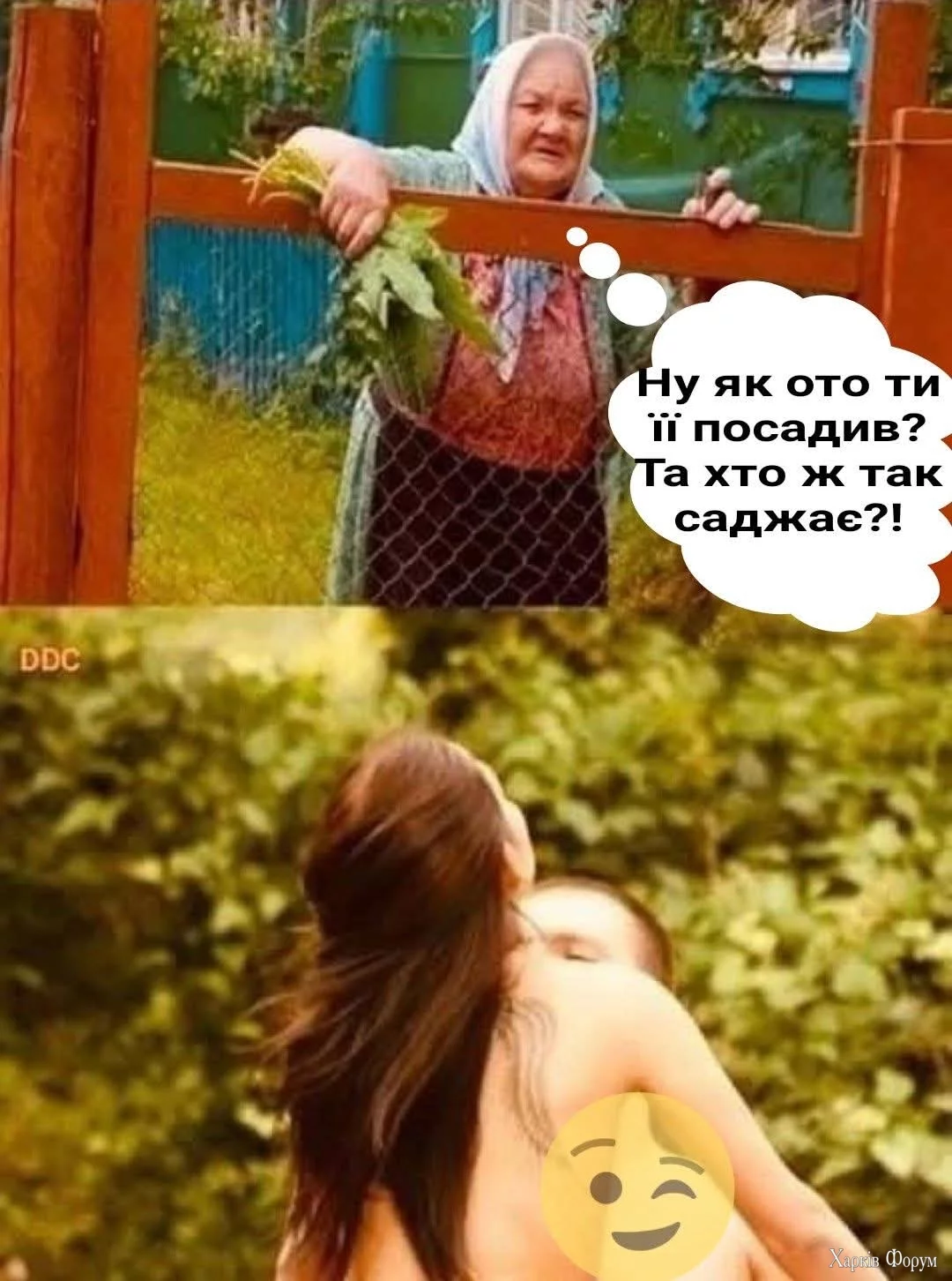 1000031647.webp