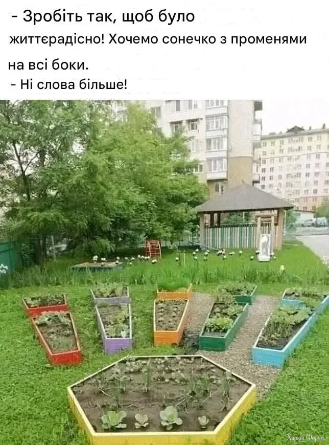 1000031756.webp