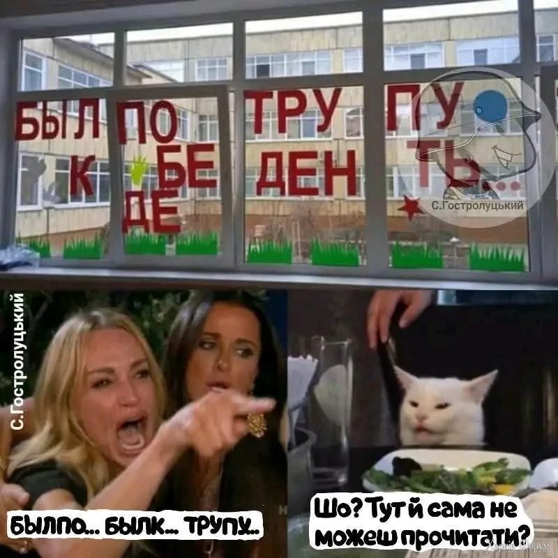 1000031765.webp
